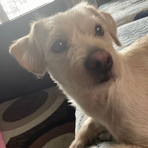 Meet your Posher, Isael